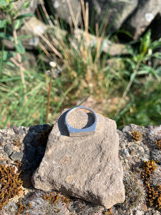 Rudston Monolith