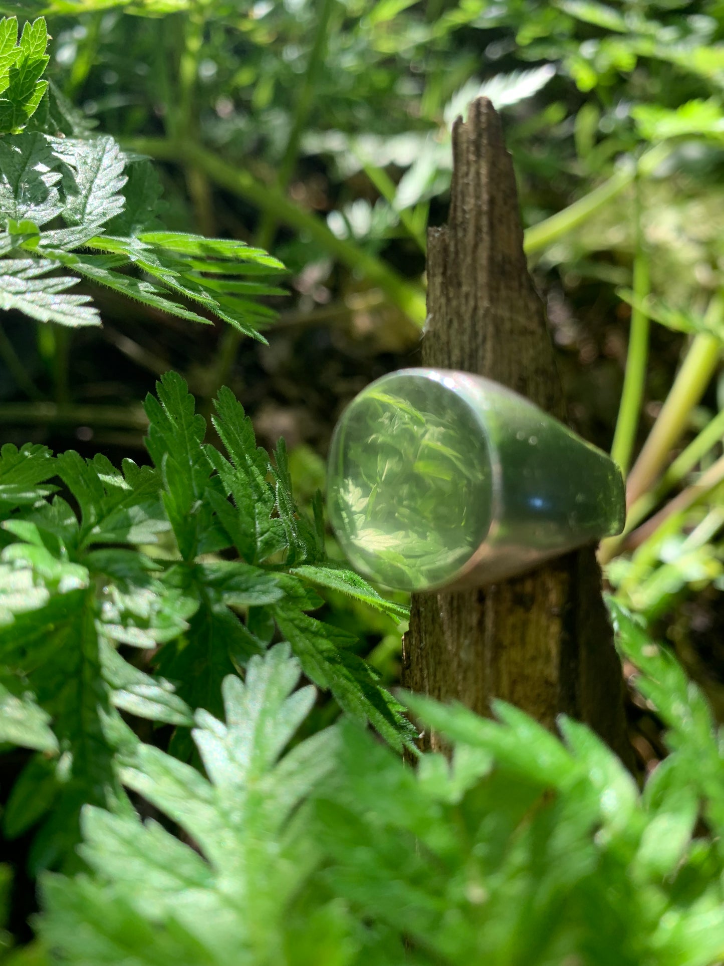 Delf hill signet