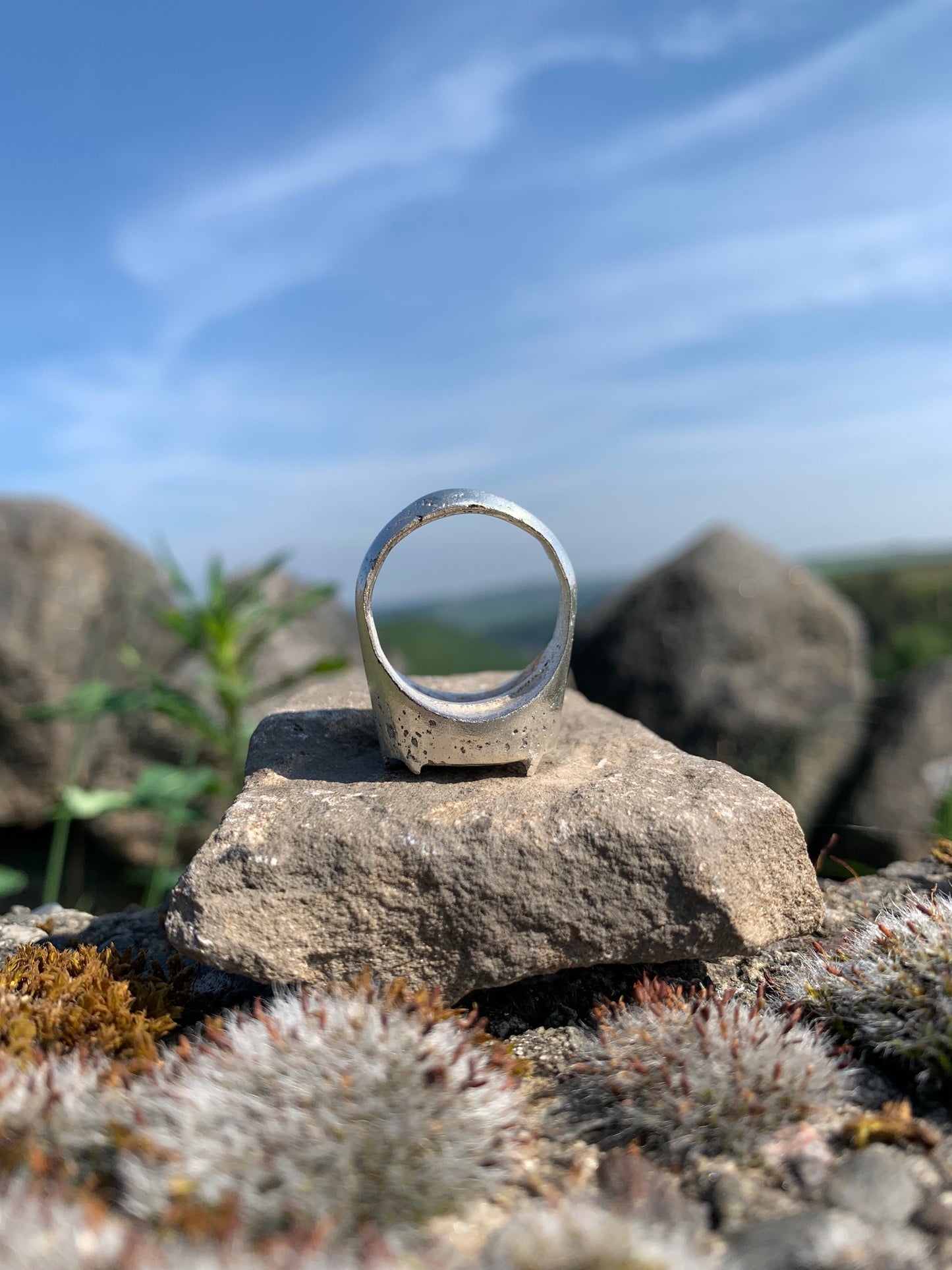 Delf hill signet